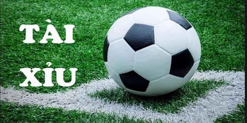 Quản lý ngân sách hiệu quả khi tham gia tránh rủi ro lớn