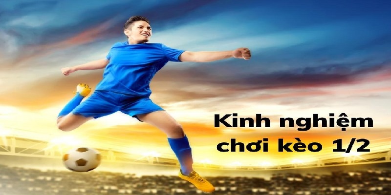 Kèo 1/2 hấp dẫn trong bộ môn cá cược