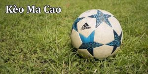 tỷ lệ kèo Macau là gì